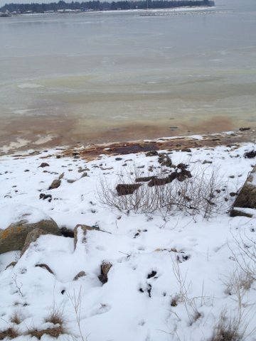 Naturgaslagerets Hotline